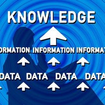 开云体育充值-海湾者队员心理素质提升计划启动，海湾旅行者的照片