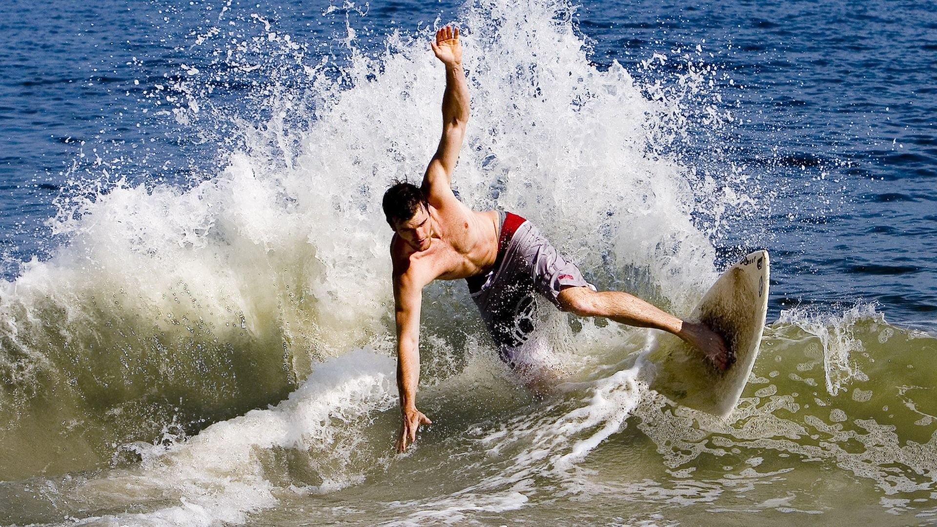 体育明星发布环保倡议视频引发全网转发,提倡环保的明星